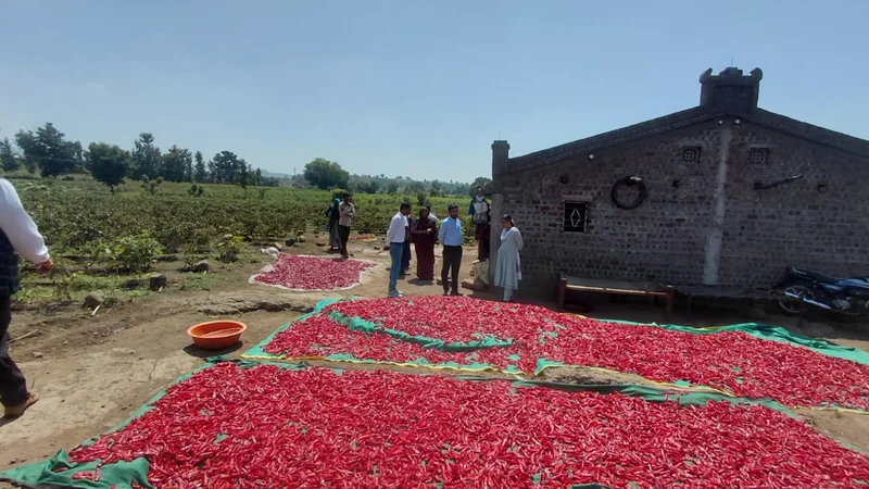 कुष्ठ रोग खोज अभियान के तहत केंद्रीय दल ने बड़वानी जिले का किया निरीक्षण
